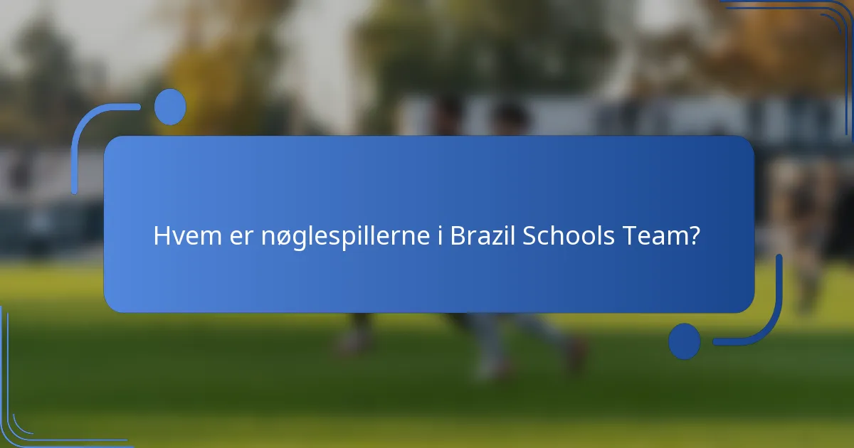 Hvem er nøglespillerne i Brazil Schools Team?