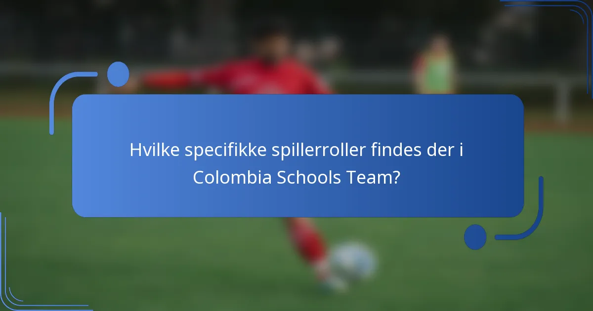 Hvilke specifikke spillerroller findes der i Colombia Schools Team?